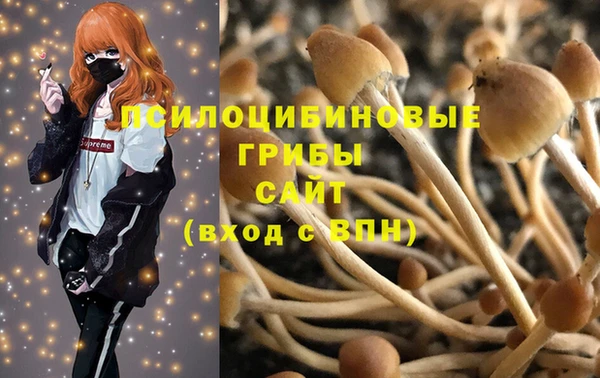 ALPHA-PVP Алексеевка