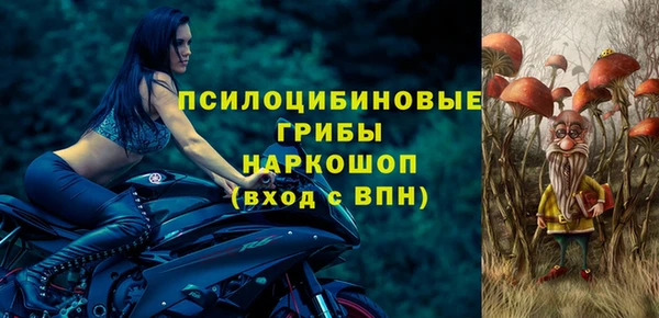 молекула духа Алзамай