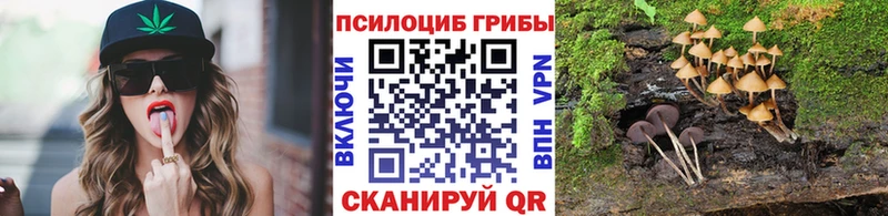 Галлюциногенные грибы GOLDEN TEACHER  Пущино 